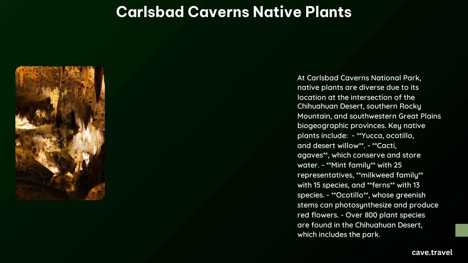 carlsbad caverns native plants