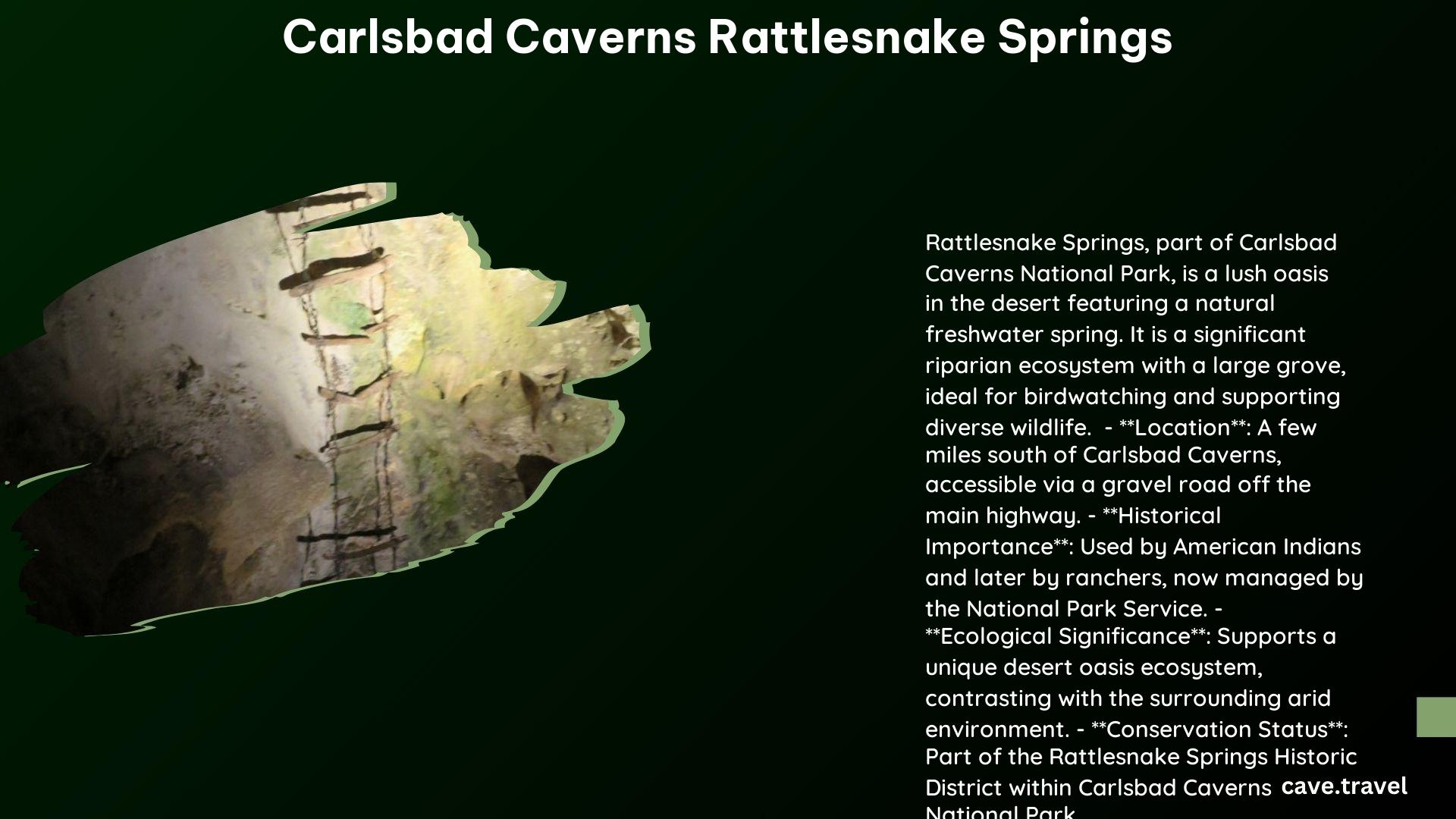 carlsbad caverns rattlesnake springs