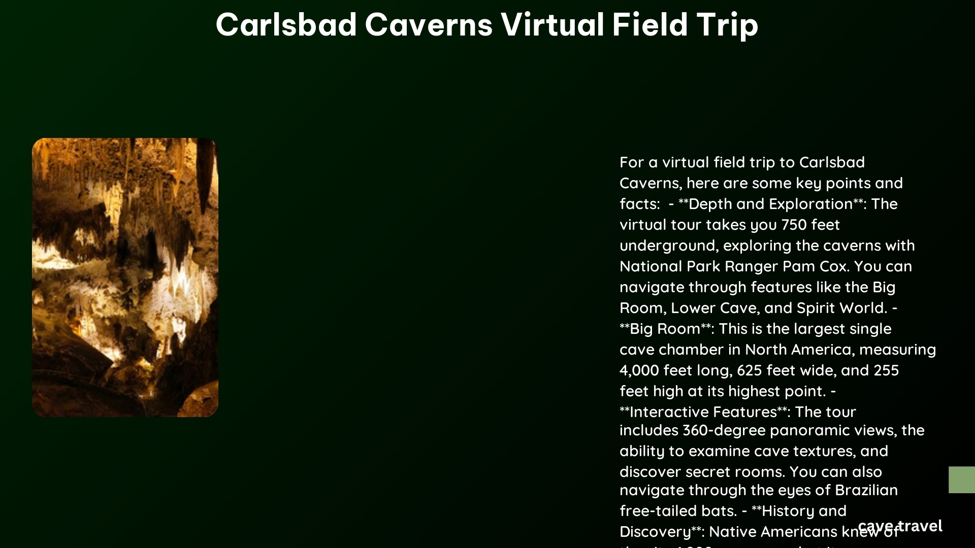 carlsbad caverns virtual field trip