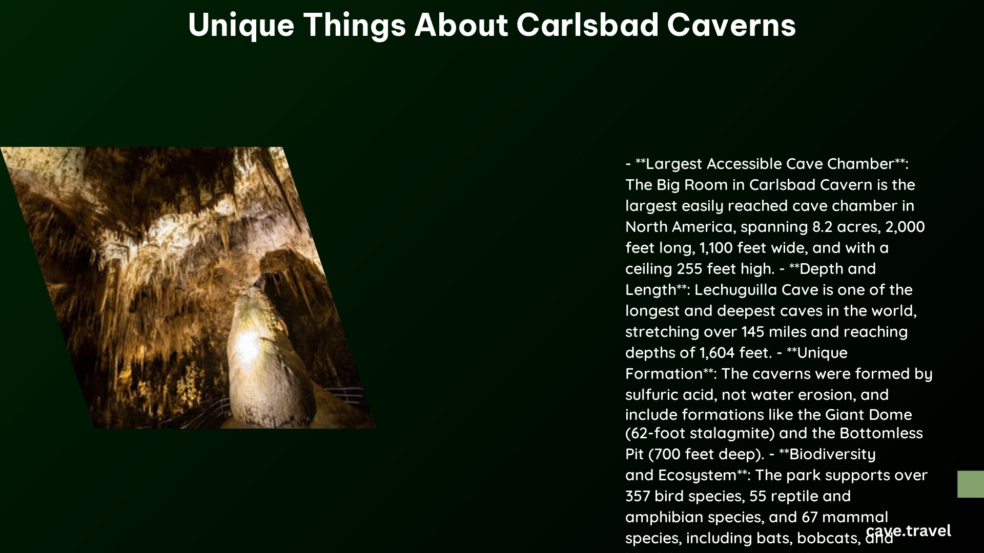 unique things about carlsbad caverns